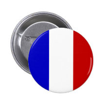 Botão francês da bandeira [ver. 2] pins