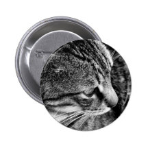 Botão preto e branco do gato boton