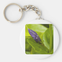 Botão roxo chaveiros