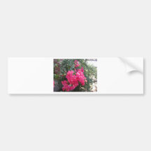 BOUGAINVILLAS ADESIVO
