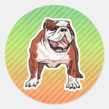 Buldogue Adesivo Em Formato Redondo