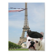 Buldogue francês em Paris Fotografias