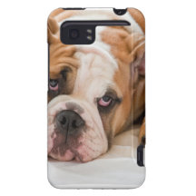 Buldogue inglês HTC vivid capas