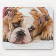 Buldogue inglês mousepad