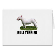 Bull terrier cartoes