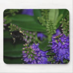 Bumble a abelha Mousepad