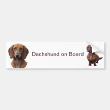 Bumpersticker do Dachshund Adesivo