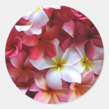 Buquê do conjunto de flor do Plumeria Adesivo Em Formato Redondo