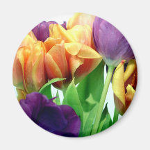 Buquê lindo das tulipas ima de geladeira