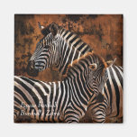 Burchelli do Equus de Burchell da zebra Imãs