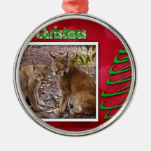 c-2011-siberian-lynx-041 ornamento para arvore de natal