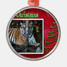 c-2011-tiger-011 ornamento para arvores de natal