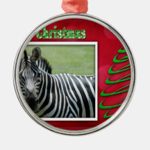 c-2011-zebra-041 ornamentos