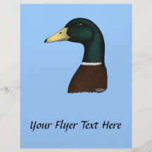 Cabeça de Drake do pato selvagem Panfletos Personalizados