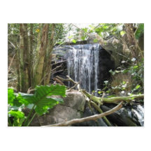 cachoeira de florida cartão postal