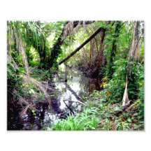 Cair árvores Green River deposita Posterized Impressão Fotográficas