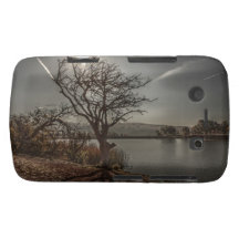 Caixa corajosa de Blackberry do lago 4 Capas Blackberry