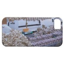 Caixa do alho iPhone5 Capas iPhone 5