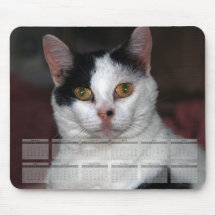 Calendário preto & branco Mousepad do gato