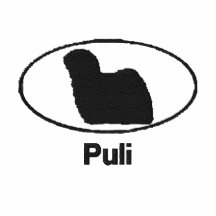 Camisa bordada Puli oval