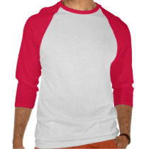Camisa do rugby de Japão t - shirts