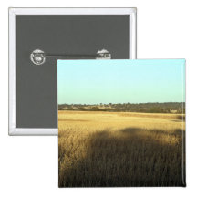 Campo de trigo com sombras e luzes boton