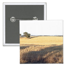 Campo de trigo com sombras e luzes botons