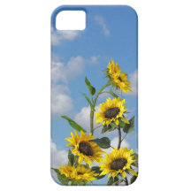 Campo do girassol capa iPhone 5 Case-Mate