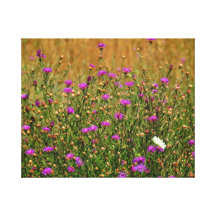Campo do Wildflower Impressão De Canvas Envolvidas