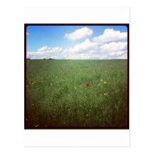 Campo inglês cartao postal