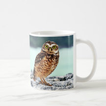 CANECA