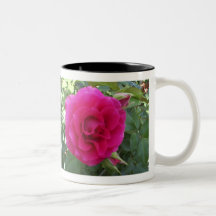 Caneca cor-de-rosa de Floribunda
