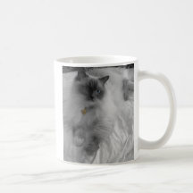 Caneca de Ragdoll