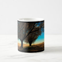 Caneca de Texas