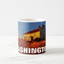 Caneca de Washington
