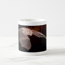 Caneca do bastão do escuteiro