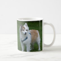 CANECA DO CÃO