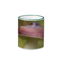 Caneca do cogumelo