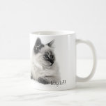 caneca do esboço do ragdoll