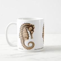 Caneca do raio X com cavalo marinho do norte