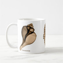 Caneca do Seashell do raio X com pústula, cavalo d