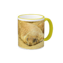 "Caneca do tempo sonolento"