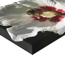 Canvas 14 x 11 da abelha do pólen impressão de canvas esticadas