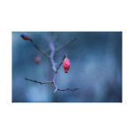 Canvas cor-de-rosa do frio impressão de canvas envolvidas