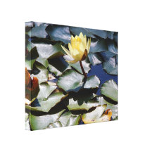 Canvas do jardim da água impressão de canvas envolvidas