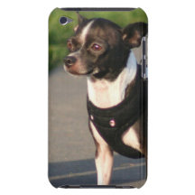 Cão da chihuahua capa iPod Case-Mate