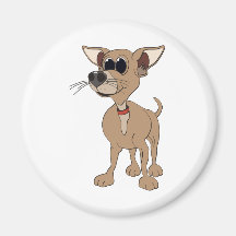 Cão da chihuahua imãs