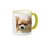 Cão de Pomeranian Canecas
