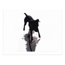 cão e sombra posterized cartées postais