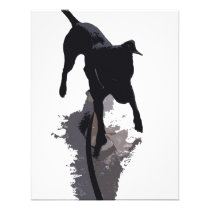 cão e sombra posterized convites